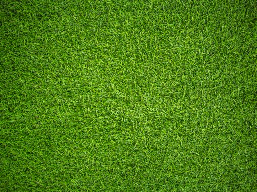 National Hydroponics